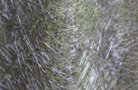 Londain fibreglass roof work